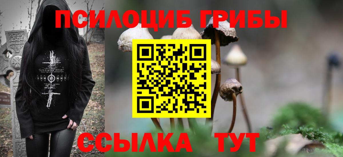 как найти закладки  Галлюциногенные грибы Psilocybine cubensis  Вход с VPN  Славянск-на-Кубани 